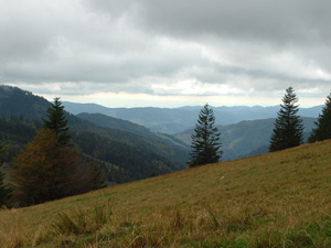 Feldberg