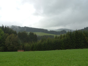 Black Forest